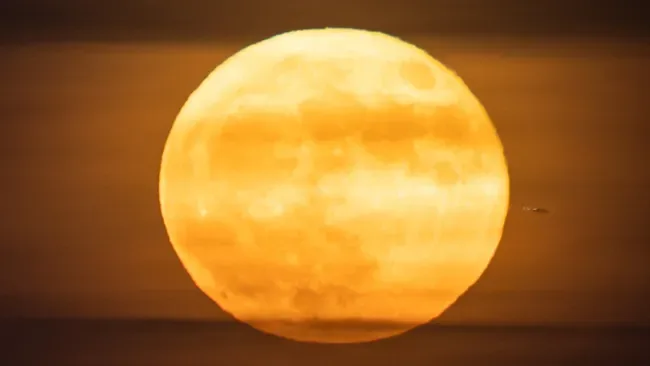 June's Stunning 'Strawberry Moon' Will Light Up the Sky Next Week – How to Watch June's Stunning 'Strawberry Moon' Will Light Up the Sky Next Week – How to Watch